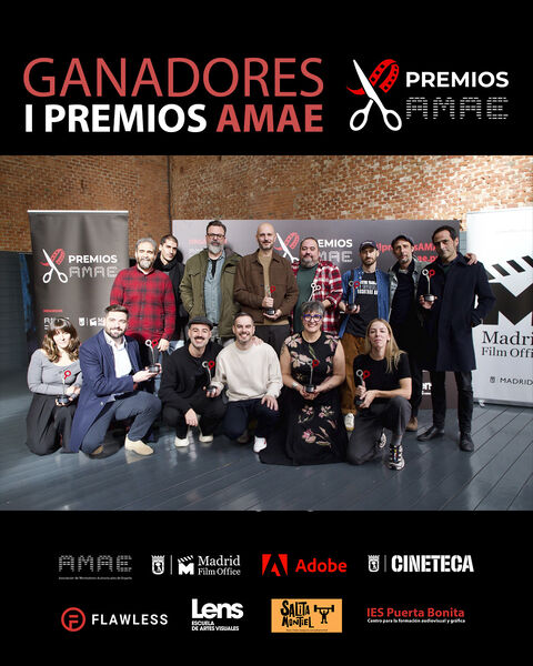 Ganadores de la I Edición de los Premios AMAE junto a las entidades colaboradoras
