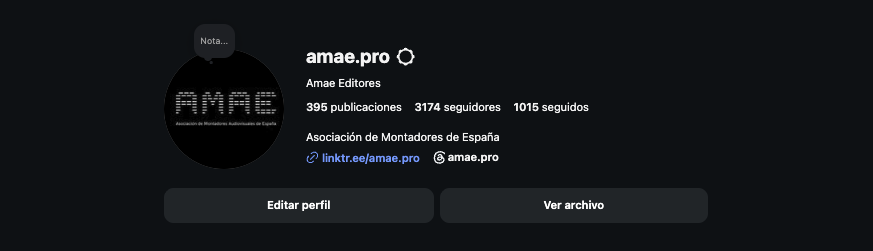 Perfil de Instagram @amae.pro: 395 publicaciones y más de 3.000 seguidores